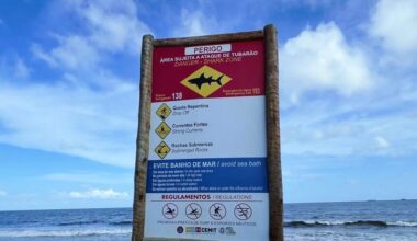 Shark kills 13-year-old boy at popular beach in Brazil: "Ate almost his entire leg"