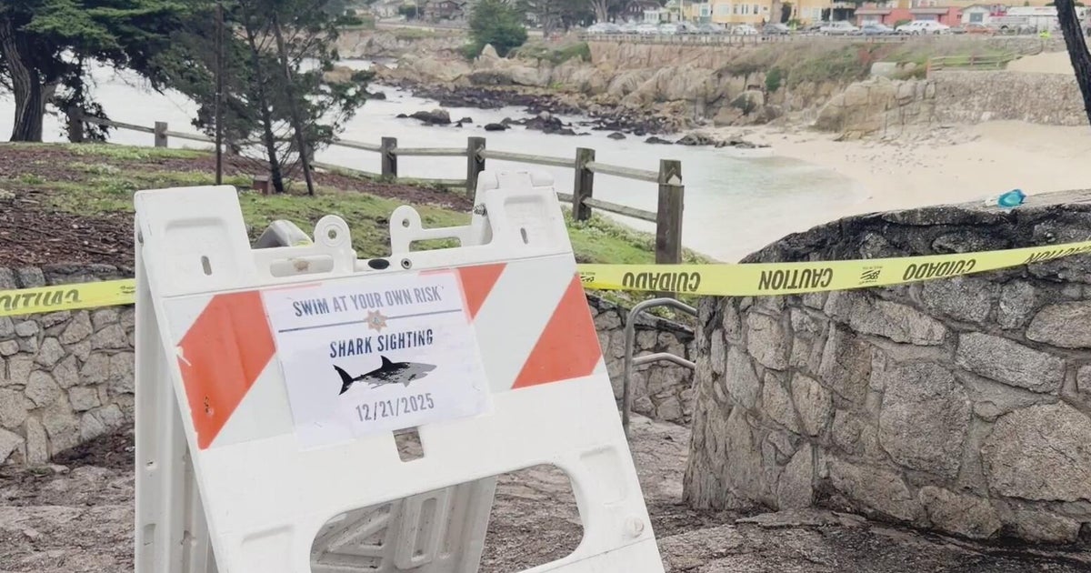 Swimmer Erica Fox died from shark attack near Lovers Point in Pacific Grove, coroner confirms