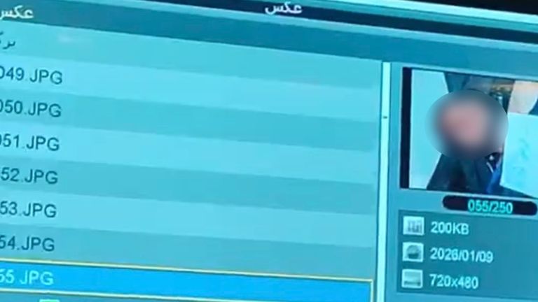 On the left of the screen is a long list of jpeg numbers, correlating with the photos of the deceased. There are 250 of them.