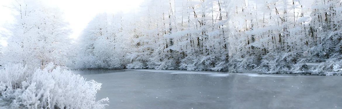 Severe weather conditions