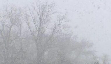 Southeast Michigan snow totals: How much fell Wednesday into Thursday