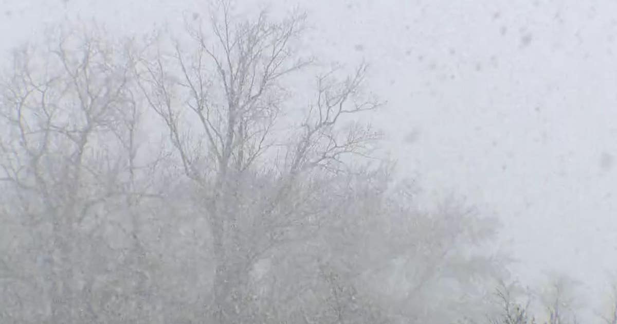 Southeast Michigan snow totals: How much fell Wednesday into Thursday