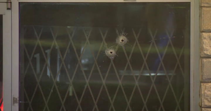 What’s happening in Surrey is a ‘terror attack in slow motion,’ B.C. premier says - BC