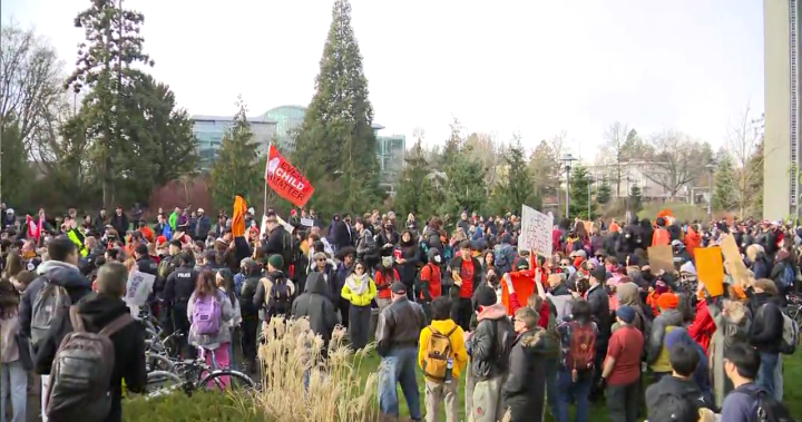 Hundreds of protesters at UBC confront OneBC leader Dallas Brodie - BC