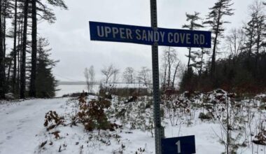 Calls grow for stronger animal ownership laws in N.S. after deadly dog attack - Halifax