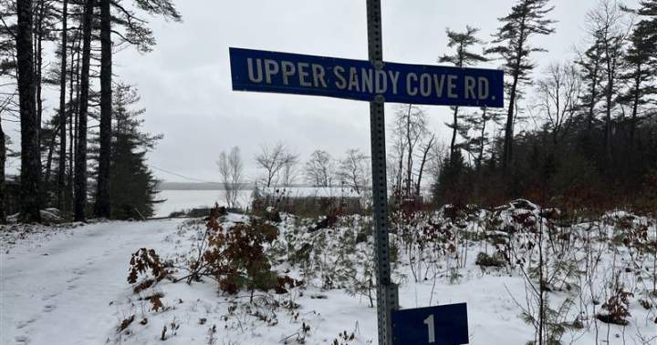 Calls grow for stronger animal ownership laws in N.S. after deadly dog attack - Halifax