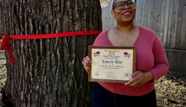 Kansas City’s Liberty Tree is coming down. The giant oak is older than the United States | KCUR