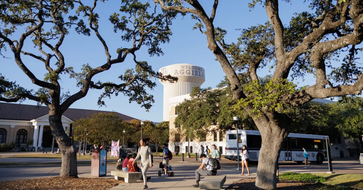 Gov. Abbott orders Texas universities, agencies to halt H-1B visa petitions