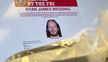 Former Olympic snowboarder Ryan Wedding has been arrested