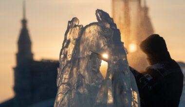 Harbin ice festival draws sculptors, spectators to northern China