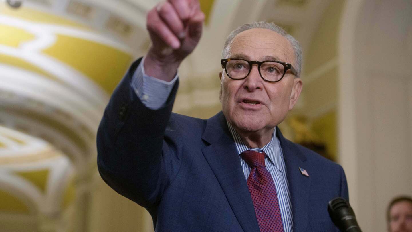 Schumer says Democrats are preparing for Trump to dispute midterms