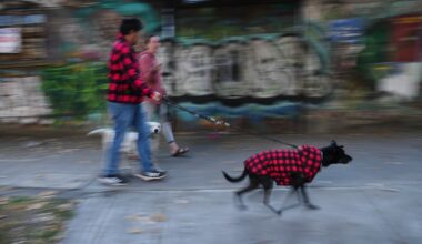 Mexico struck by 6.5 magnitude earthquake