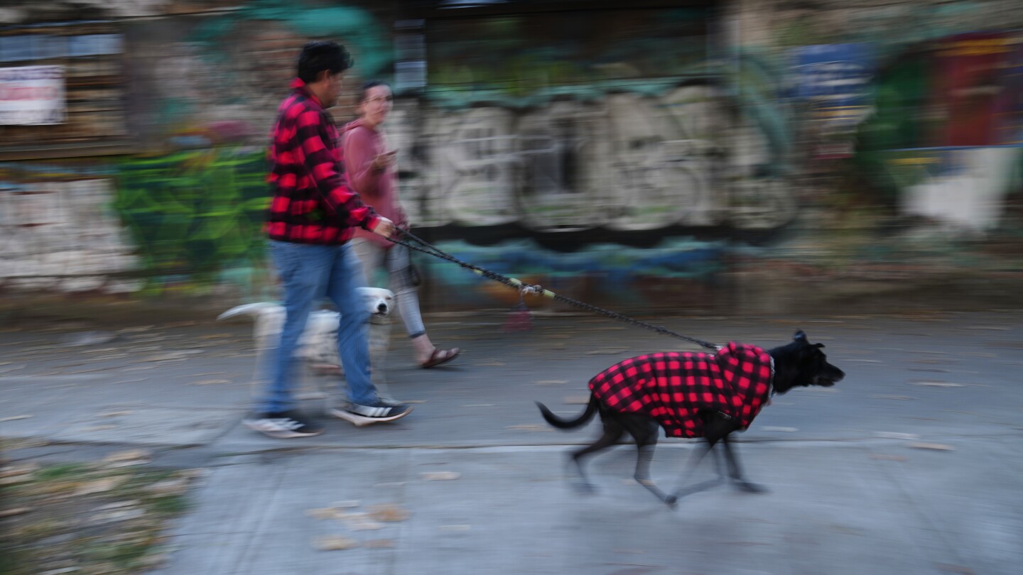 Mexico struck by 6.5 magnitude earthquake