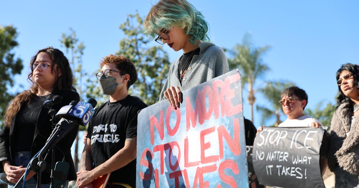 Protesters recount bloody attack by Homeland Security agents in Santa Ana