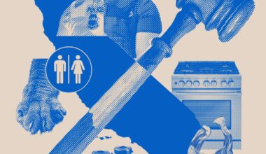 California rings in new year with sweeping new laws