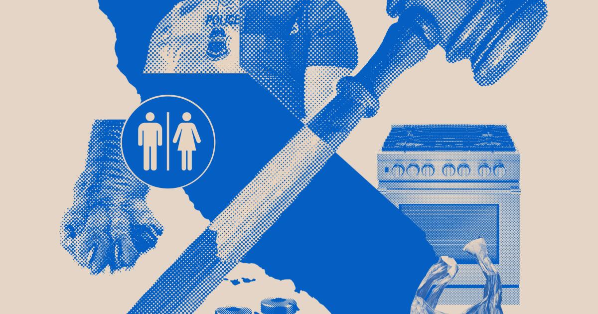 California rings in new year with sweeping new laws