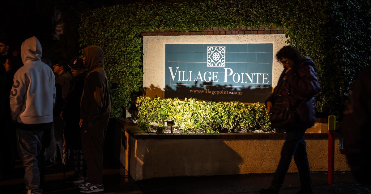 ICE agent accused of child abuse, racist remarks in L.A. court filings