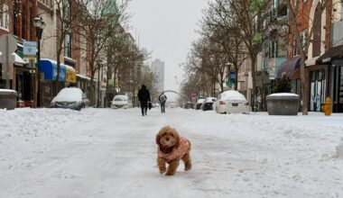 Philadelphia snow updates: Latest forecast; snowfall totals