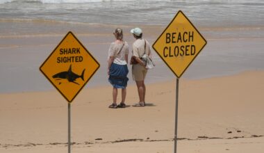 Surfer bitten in 4th shark attack off Australia's east coast in 3 days