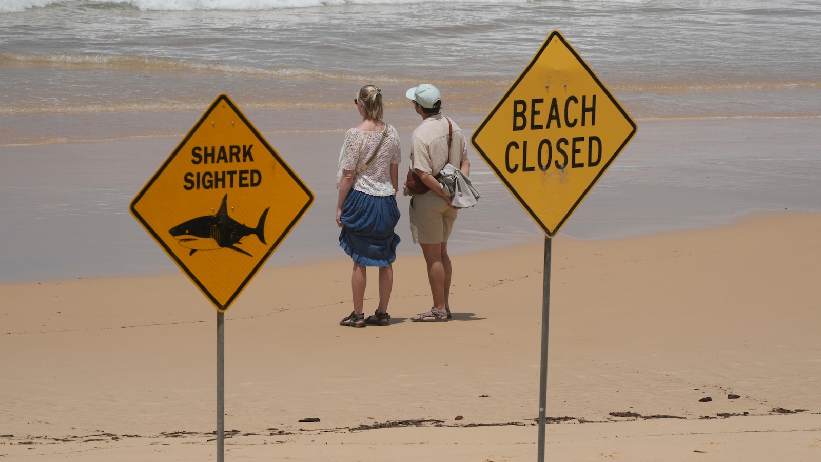 Surfer bitten in 4th shark attack off Australia's east coast in 3 days