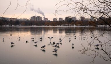 Freezing rain and ice disrupt travel across central and eastern Europe