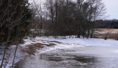 3 young brothers in Texas die after falling through icy pond during winter storm