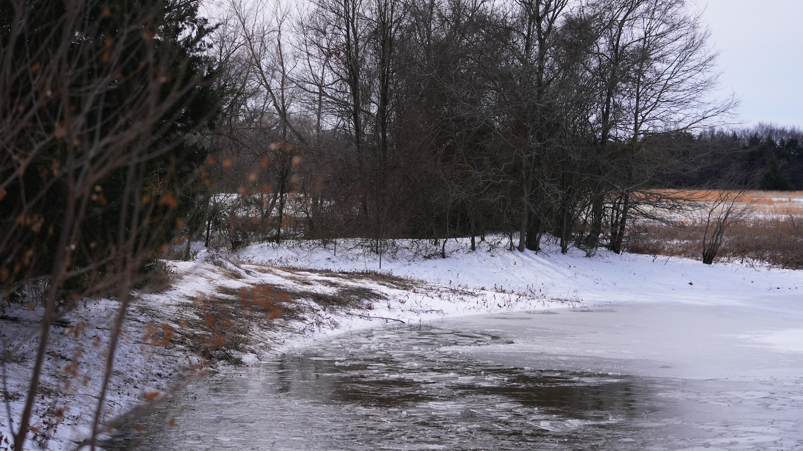 3 young brothers in Texas die after falling through icy pond during winter storm