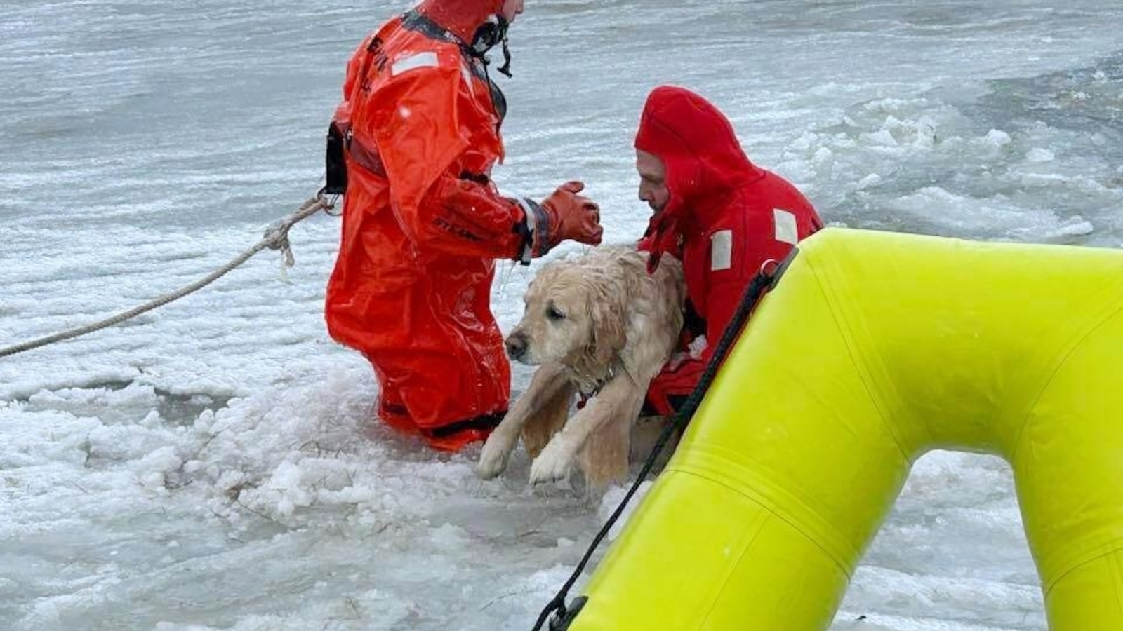 Rhode Island firefighters rescue a yellow Lab from an icy pond on New Year's Day