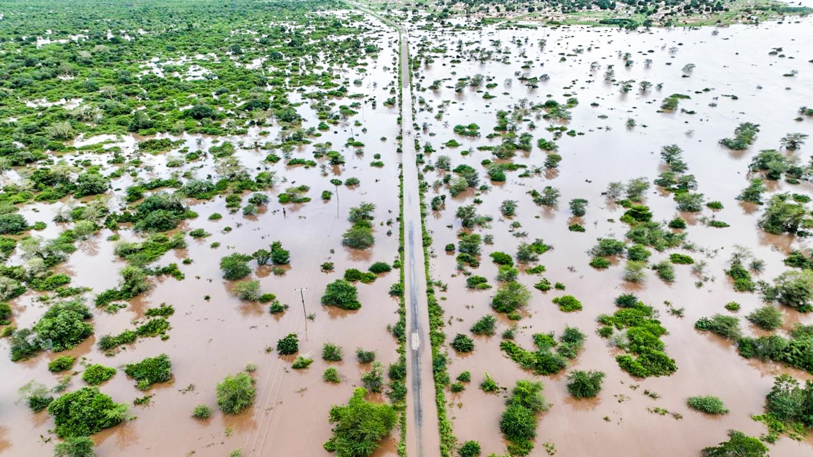 Climate change worsened rains, floods which killed dozens in southern Africa: Study