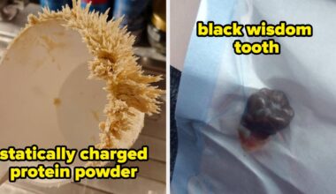 20 Super Cool Rare Photos