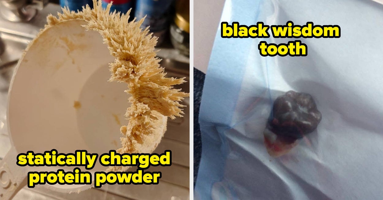 20 Super Cool Rare Photos