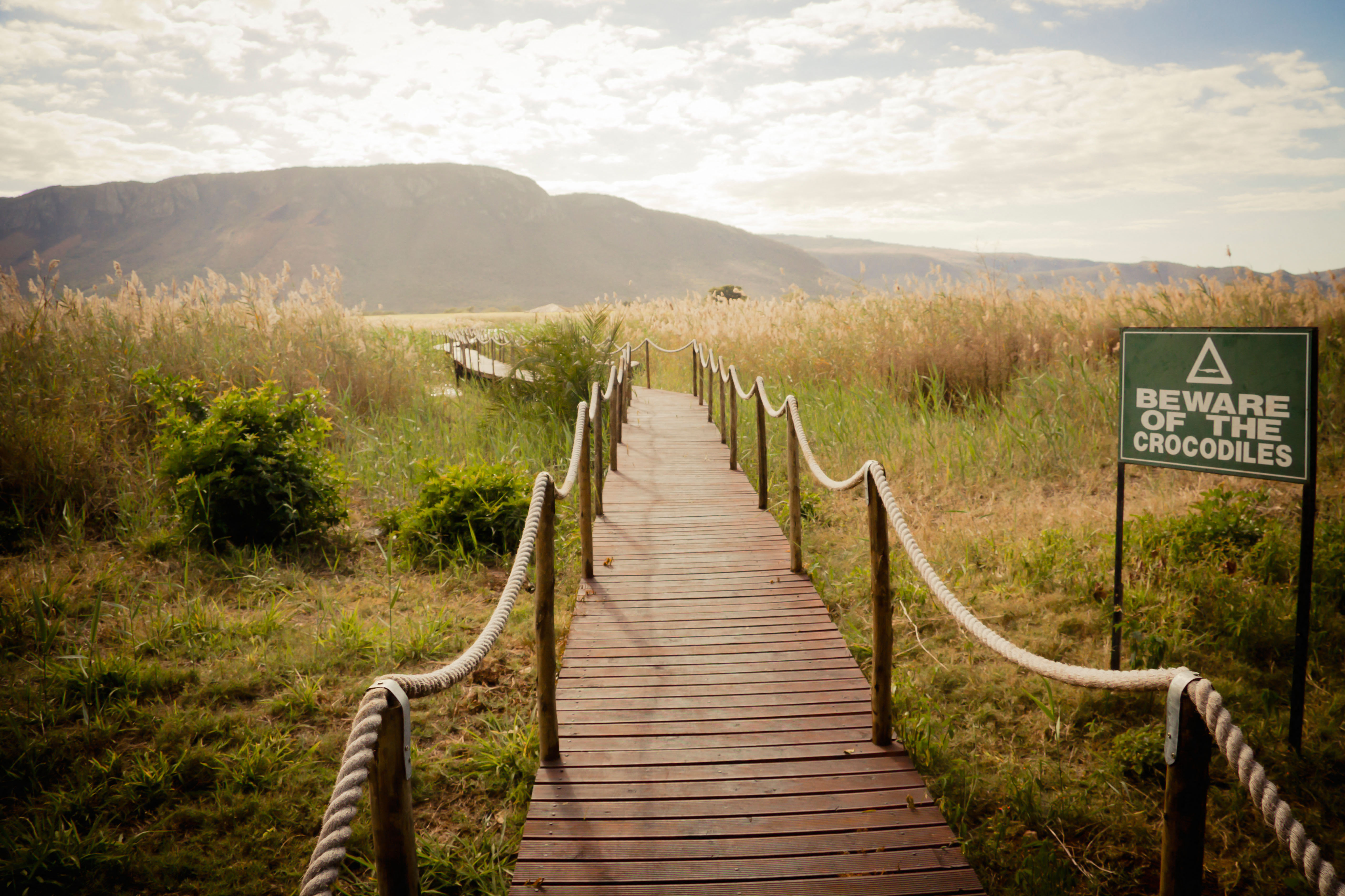 A wooden boardwalk with rope railings through tall grass, leading towards a mountain range under a bright sky, with a "Beware of the Crocodiles" sign on the right.