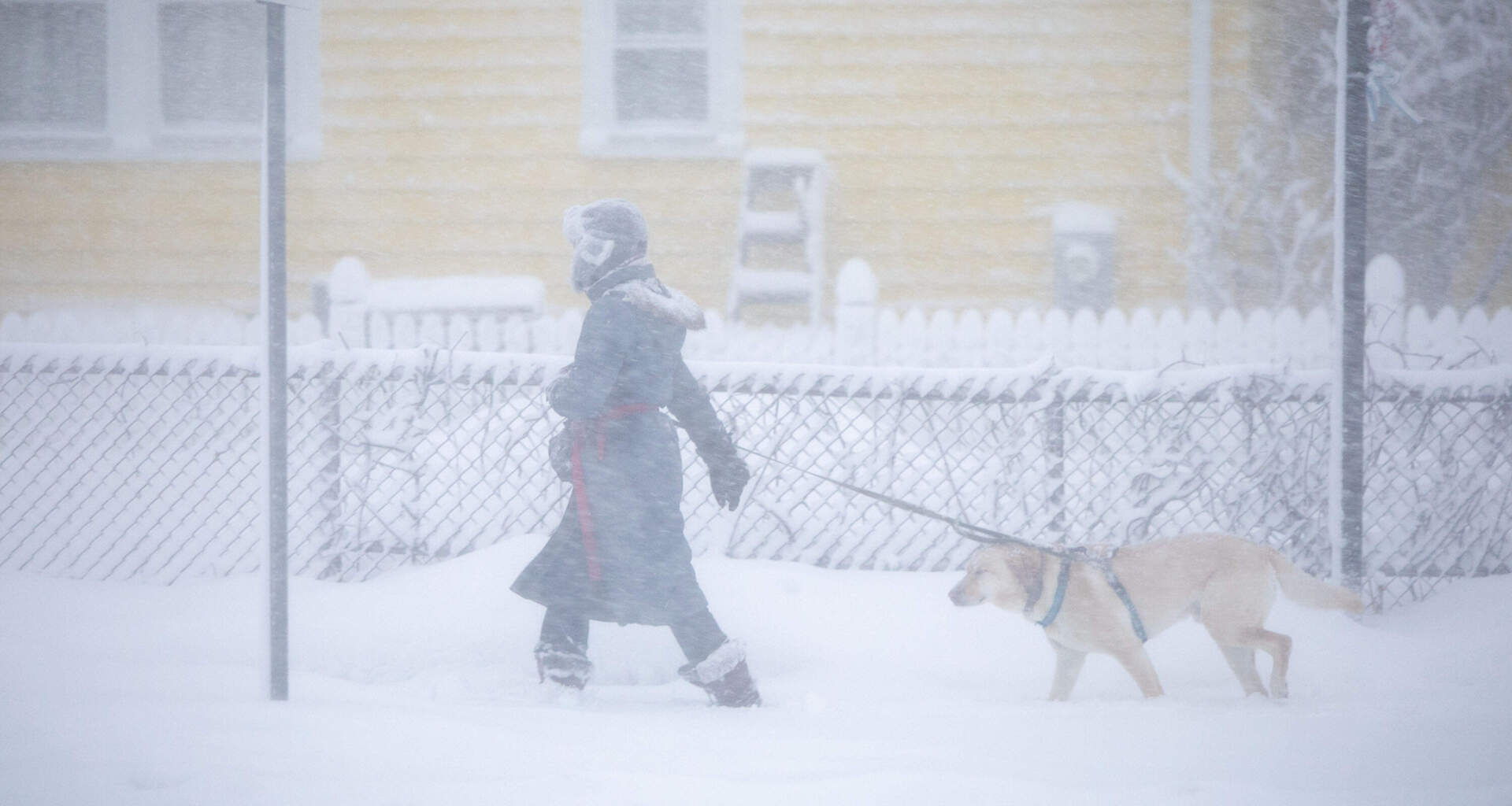 Virtually no traffic on Interstate 95 in Waltham during the height of the storm in the late morning. (Jesse Costa/WBUR)