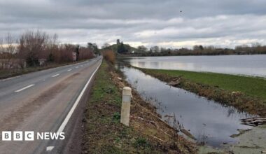 A fossil of part of a crinoid that resembles a row of teeth. The markings form a curved shape with pale, tooth‑like segments set against the darker surface of the fossil. The fossil rests on another rock in the foreground.