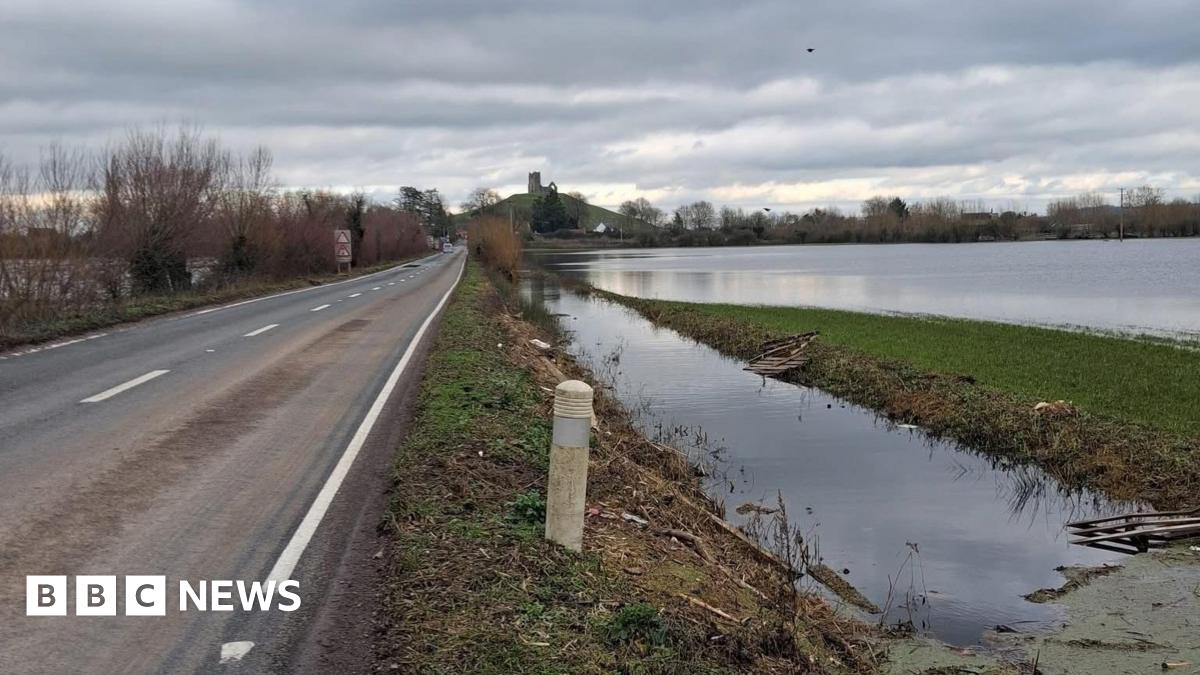 A fossil of part of a crinoid that resembles a row of teeth. The markings form a curved shape with pale, tooth‑like segments set against the darker surface of the fossil. The fossil rests on another rock in the foreground.