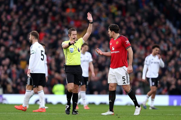 John Brooks gestures as he disallows a Fulham goal. 