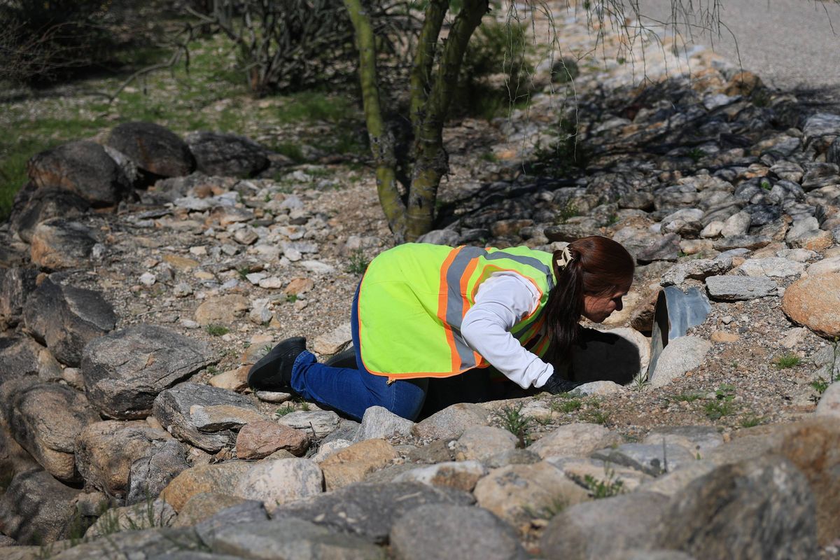 Searchers for Nancy Guthrie