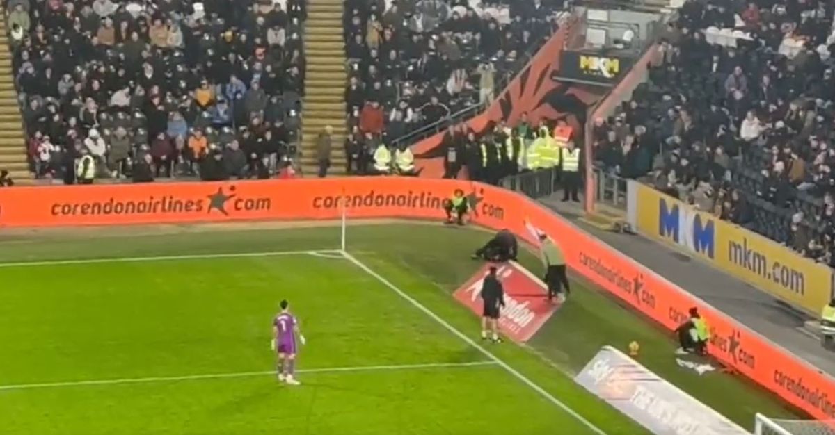 Hull City goalkeeper Ivor Pandur watches on as two stewards fall over themselves with failed bids to capture a squirrel