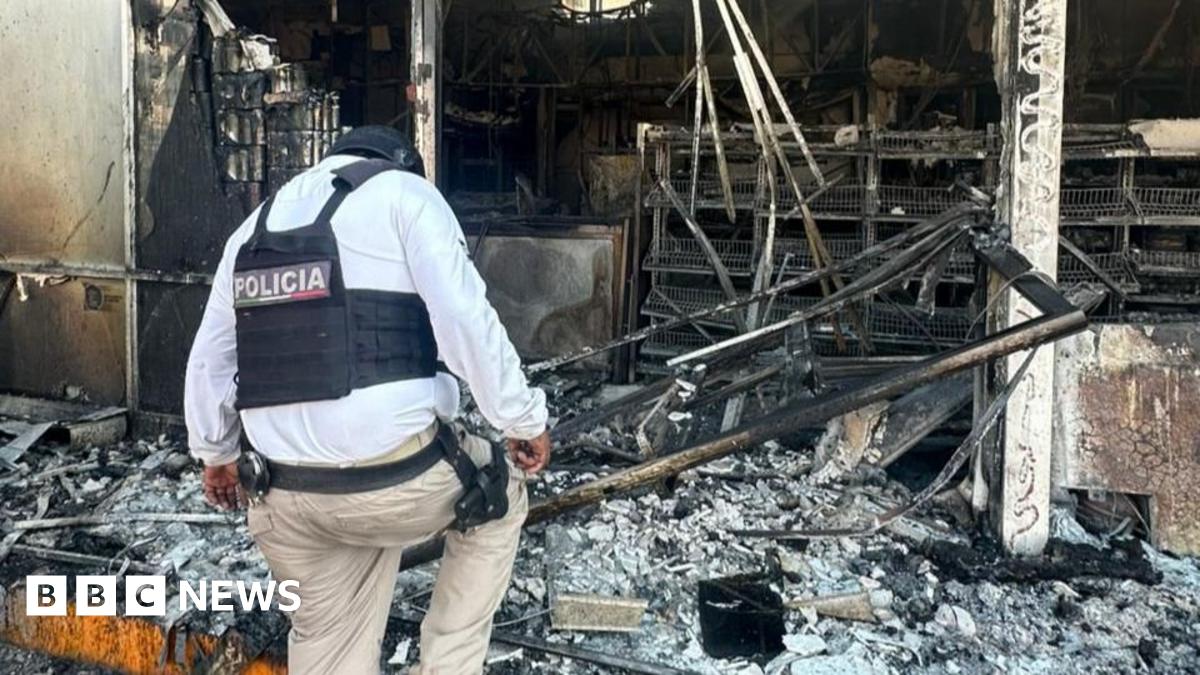 An image showing muicipal police trucks next to a burning bus set on fire, and a police man is walking in between. The bus is charred with flames engulfing it from below. The cars are parked on a highway.