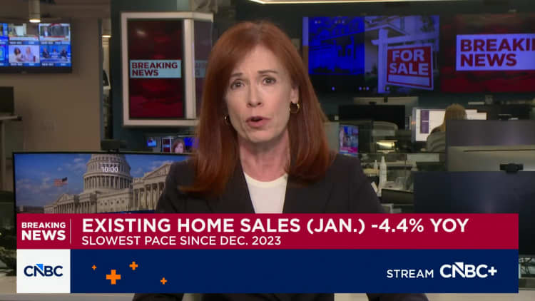 January homes sales fell more than 8%