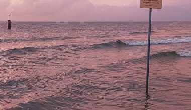 Experts warn of rapid loss of water in the Baltic Sea: 'A vibrant reef is turning into an underwater wasteland'