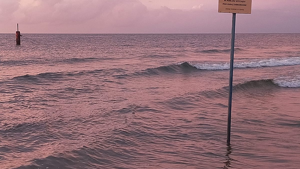 Experts warn of rapid loss of water in the Baltic Sea: 'A vibrant reef is turning into an underwater wasteland'