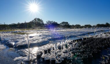 Cold Tightens Grip on Millions