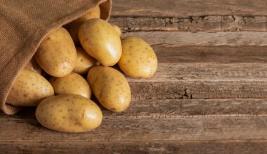 In Berlin, It's All but Raining Potatoes