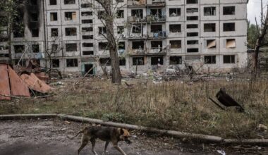 War in Ukraine Exposes Natural Selection in Dogs