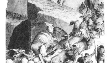 Ancient Elephant Bone May Prove Hannibal Legend
