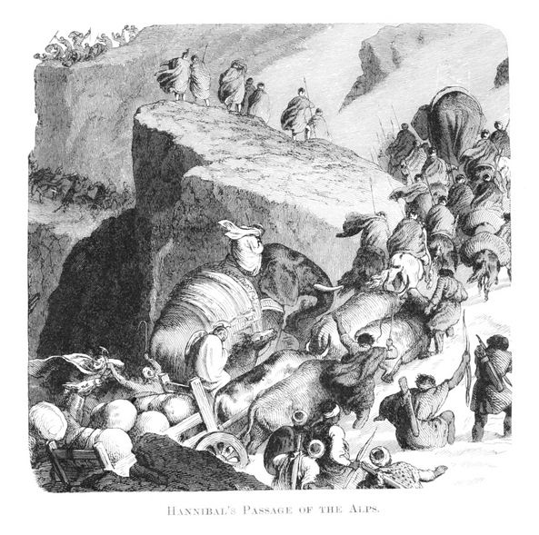 Ancient Elephant Bone May Prove Hannibal Legend