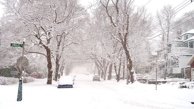 Eastern N.S. set to take the brunt of incoming winter storm