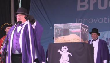 Did Wiarton Willie see his shadow?