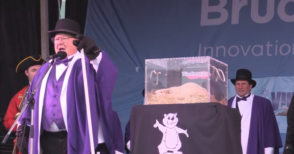 Did Wiarton Willie see his shadow?